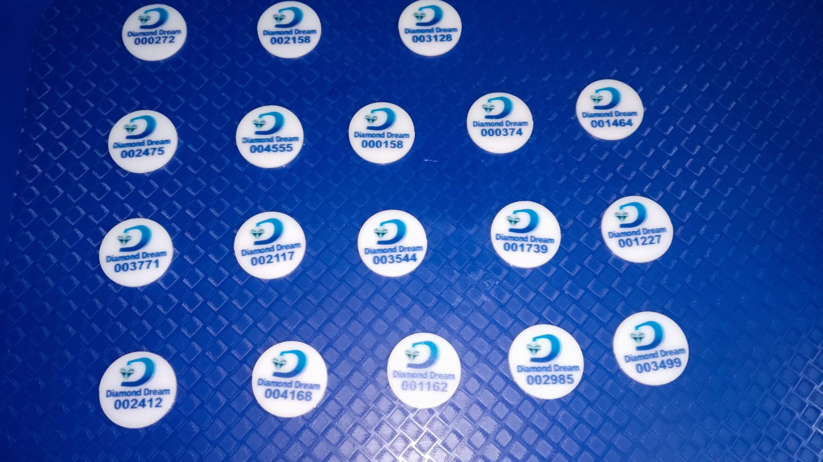 WhatsApp Image 2025-10-25 at 12.29.54_4a7a378a.jpg